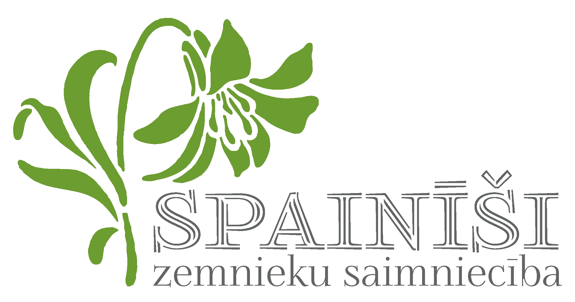 ZS Spainīši